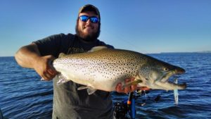 Trophy Brown Trout fishing charters Northern Michigan~ Storm Hawk Sport Fishing 