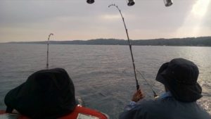 Fish on Traverse City, Mi