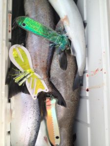 Traverse City Salmon Fishing Charters 