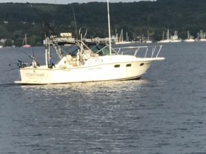 Charter Boat Traverse City Mi Storm Hawk Sport Fishing