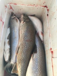 Traverse City Charter Fishing ~ Storm Hawk Sport Fishing