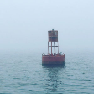 Foggy Traverse City Fishing Charter