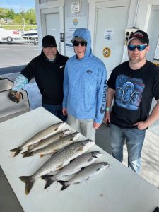 May fishing mixed bag lake trout, pink salmon, king salmon 