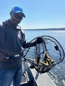 Customer holding a landing net full of yellow perch during a guided perch fishing charter near Traverse City, Michigan.